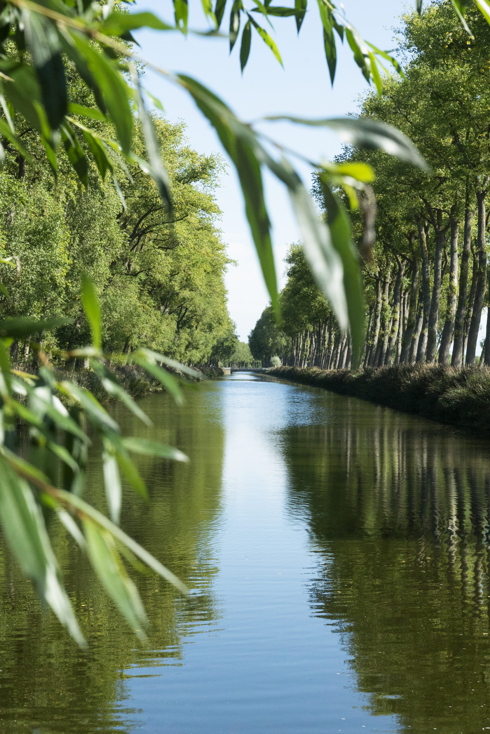 Picture of the Damse Vaart near restaurant Siphon in Damme, Belgium